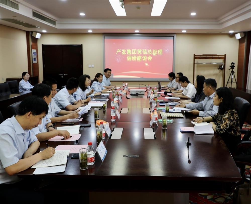 集團黨委副書記、總經(jīng)理黃蓓帶隊調(diào)研濟南市工程咨詢院